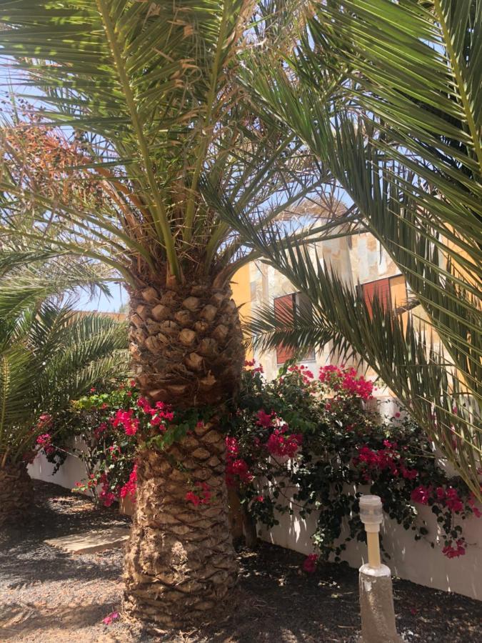 Apartamento Paradise Amaya Costa De Antigua Kültér fotó